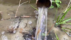 29K views · 716 reactions | As an atoll surrounded by a vast lagoon area, delaniyavu Naqelelevu floating in isolation, rain is a rare occurrence thus ensuring sustained water supply is always a problem…the inhabitants therefore are required to save and use what little there is… | Mika Loga Pikibull | Facebook