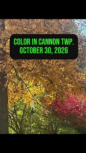 Colors in Cannon Township