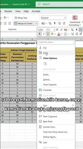 How to Convert Excel Tables to Word Without Cropping #computertutorial #computerlearning #exceltu...
