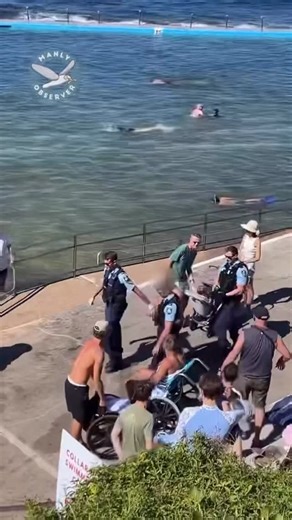 Manly Observer on Instagram: "UPDATED: A man will face court following an alleged child approach on the Northern Beaches. About 7pm on Sunday 28 December 2025 police were told a 13-year-old boy was approached by a man – who is unknown to him – inside a toilet block at a reserve on the Wakehurst Parkway, Narrabeen. The man left the location before he was picked up by an unknown person and left the scene. Officers attached to Northern Beaches Police Area Command attended and established a crime sc