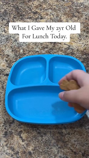 Healthy lunch idea! #mealsforkids #mealsforkids2023 #mealsfortoddlers #toddlermealideas #toddlermeals #mealideas #feedingtoddler #toddlerlunchideas #dailymealideas #toddlerlunch | Meals For Kids
