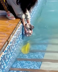 Our precious pup is all grown up to swim on his own🥲 | Art & Painting