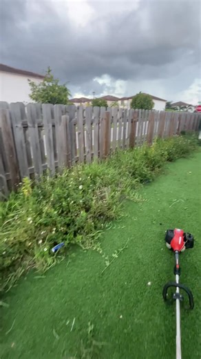 Don’t have the equipment to finish the job? Dm me (client want to blow mulch to the fence line) #lawnservice #overgrown #overgrownlawn #grasscut #viral