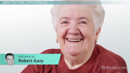 Collagen Fibers | Definition, Anatomy & Types