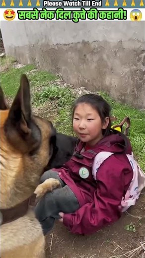 सबसे नेक दिल कुत्ते की कहानी 🙏 #animal #animalrescue #animallover #rescue #dog