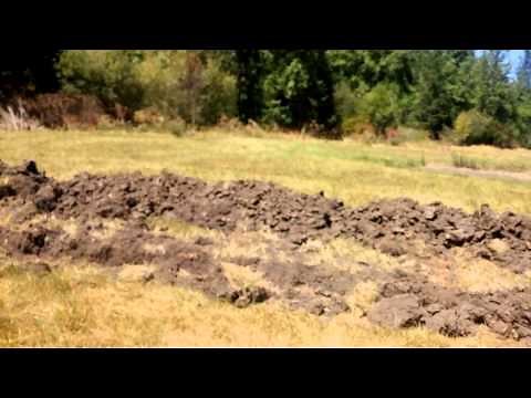 Digging a Drain Field