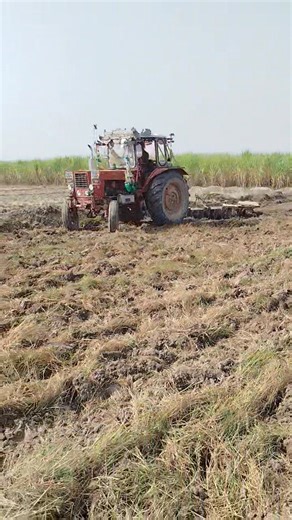 Belarus MTZ 50 Best tractor in pakistan Tractors Videos 🚜👍💯🔥 | Tractors Videos