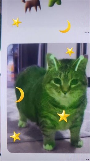 OIIA OIIA in Alien cat⭐ #Aliencat