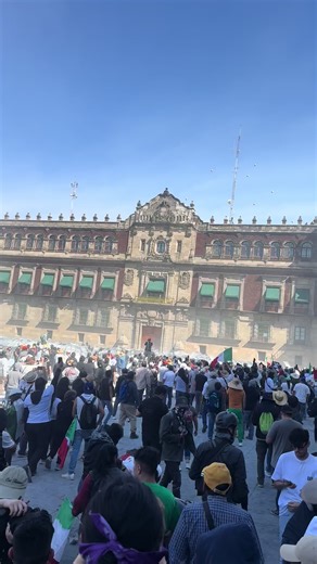 Claudia y la Marcha del 15 de Noviembre en México