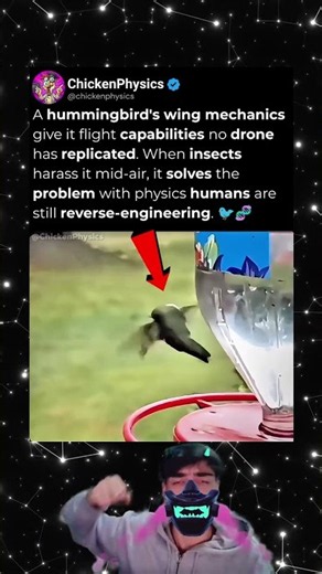 The Aerodynamics Of A Hummingbird Make Engineers Jealous #biomechanics #science #nature