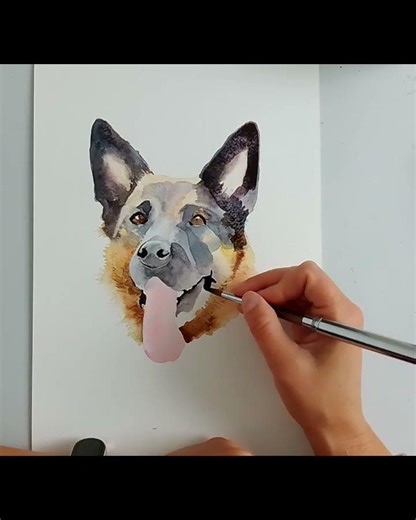 How to paint a German shepherd in watercolour