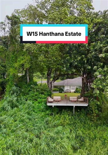 Exploring W15 Hanthana Estate in Sri Lanka
