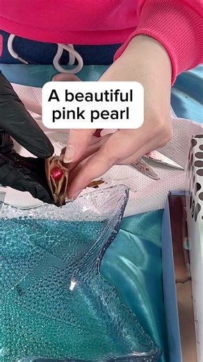 20K views · 88 reactions | Look what we found inside the shell  This was in beautiful Scotland gbsct #shell #pearl #viral #video | Rob And Elizabeth | Facebook