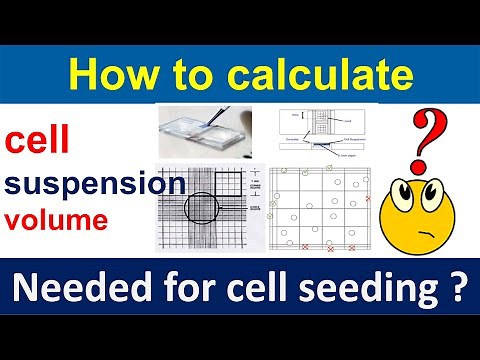 How to calculate cell suspension volume needed for cell seeding ?