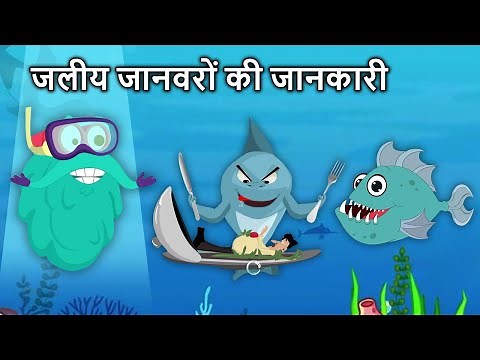 जलीय जानवरों की जानकारी | Learn About Water Animals in Hindi | Sharks, Whale, Piranha and More