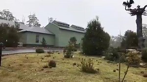 6.8K views · 239 reactions | Nice snow flakes starting to fall at Cradle Mountain, Tasmania! ❄❄❄ Video: Cradle Mountain Hotel | SNOWSEARCH australia | Facebook