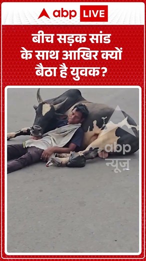 Viral News : बीच सड़क सांड के साथ आखिर क्यों बैठा है युवक | #viral #drunkman #bull #breakingnews