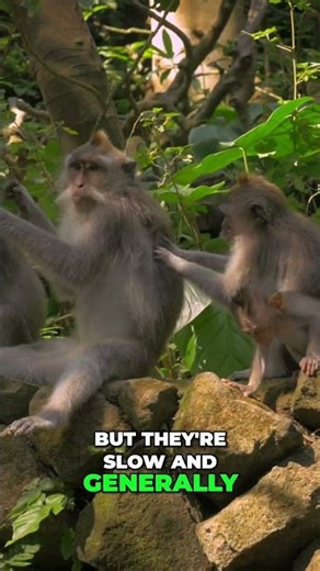 Agentic Pen Testing: Revolutionizing Application Security #shorts