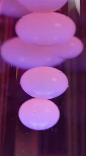 #flow #experiment #lavalamp #lamp #lava #relaxing #relaxation #light #purple #relaxingsounds #white