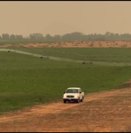 ‏اجواء يوم الخميس ❤️‍🩹⬆️#بريده #القصيم #رينجر