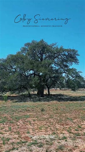 Experience Dripping Springs with your own private escape. l#drippingsprings #landforsale