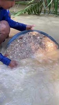 Gold Panning Success in the Wilderness | Real River Gold Found! 🏆✨ #goldmining