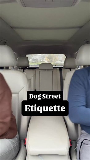 40 reactions · 28 comments | Hot take: not every dog wants to say hi. We scan the handler’s vibe and the dog’s body language, then keep moving if it looks tense. I wish there were a simple “no greet” signal everyone knew. Hand to heart? Quick wave-off? What would you use, and do you let your dog greet on walks? #DogTraining #LeashEtiquette #DogBodyLanguage #ReactiveDog #DogBehavior #DogSafety #DogWalks #DogParents #GoodDogma | Loose Leashes by Ron Schmidt | Facebook