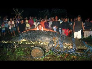 Monster Giant Crock Hunt Documentaries/Philippines Biggest Caught(Lolong)
