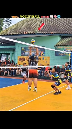 Viral Setter 📈 🥶 #volleyball #algorithm #sports #volleyballshorts #setter #haikyuu
