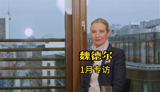 魏德尔2025年1月专访