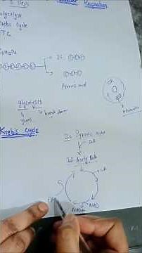 Krebs Cycle Made Easy | 9th Grade Biology Chapter 6