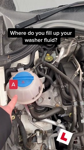 Driving Test Success on TikTok