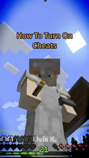 How To Turn On Cheats Like A Pro in Minecraft