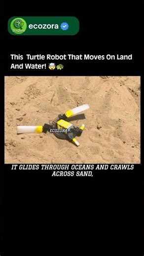 Meet the Robotic Sea Turtle! 🐢🤖 #robotics #nature #ocean #science #technology