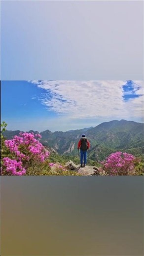 하루를 열어 주는 좋은글 (2026.5.29)#좋은글 #좋은글귀 #하루를열어주는좋은글 #짧은글 #감동글귀 #명언 #짧고좋은글 #오늘의좋은글 #오늘의명언 #좋은글영상