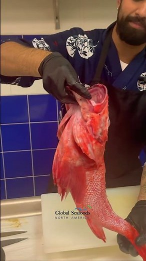 Idiot Rockfish (Kinki) Fillet Tutorial | Chef Joshua Cuts the Best Rockfish Meat