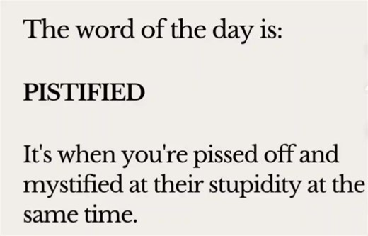 Your mission today is to use 'pistified' in a sentence. For example, "These flipping bike lanes are mostly empty and cost over $4 million! How on earth anyone can think it's a good idea pistifies me." Your turn. | Louise Elliot