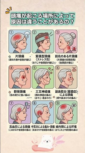頭痛が起こる場所によって原因は違うことがあるの？ #頭痛 #頭痛対策 #片頭痛 #緊張型頭痛 #群発頭痛#目の痛み