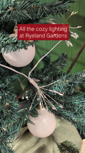 Short days, gray skies....cozy lights help a lot ✨ From twinkle lights to lighted branches and garlands to beautiful lighted pieces for your mantle, we've got lots of cozy options to brighten up the gray days. #ryelandgardens #holidaylights #cozylighting #winterglow #christmaslights #porchdecor #winterdecor #holidaydecor #shoplocal | Ryeland Gardens | Facebook
