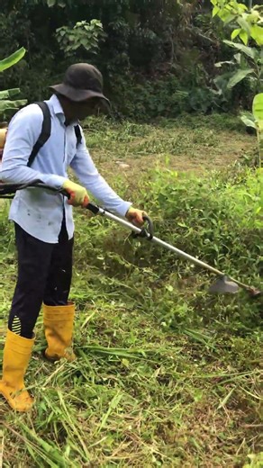 This Machine Destroys Tall Grass! 😱🔥