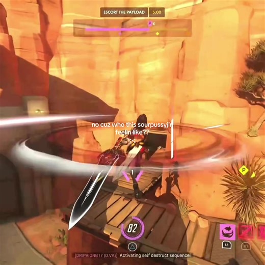 Overwatch Teabagging: Fun or Frustration?