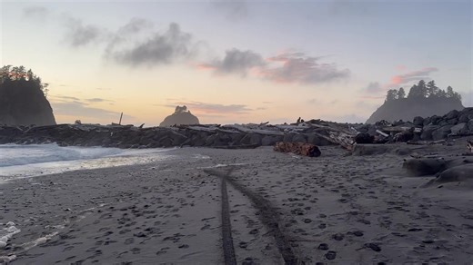 Doug Warren on Reels