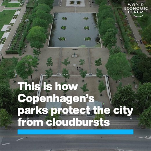 149K views · 2.5K reactions | #Copenhagen is enlisting an unusual...