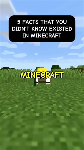 5 Facts that you didn't know about Minecraft - PART 8