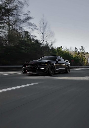 Can’t stop wont stop🤪 @ThatCarGuyJoe • • • #ford #fordmustang #shelby #mustang #car #cars #carsoftiktok #foryoupage #foryourpage