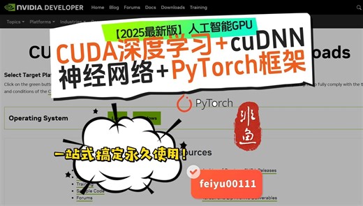 【2025最新版】人工智能GPU，CUDA深度学习 cuDNN神经网络 PyTorch框架，一站式搞定永久使用！