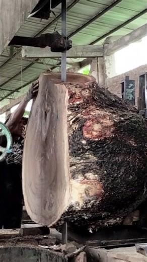 How to Cut Large Logs into Wood Slabs