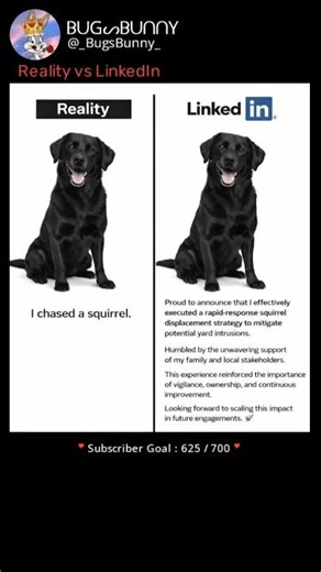 Reality vs LinkedIn Version | Meme #46