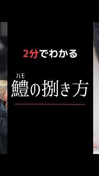 2分でわかる！【鱧（ハモ）の捌き方】累計3000本以上捌いたプロが解説 #howto #japan #chef