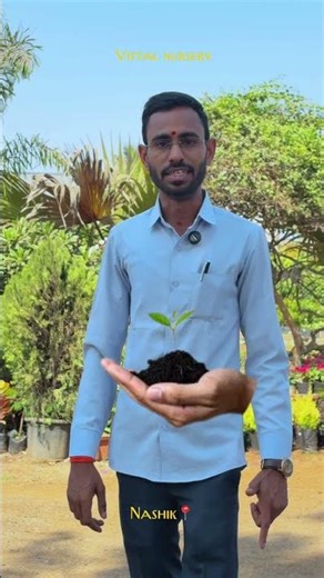 Best Nursery in Nashik | Plants & Garden Services